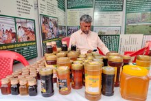 Success Story: दसवीं पास किसान की मधुमक्खी पालन ने बदली तकदीर, सालान कमाते हैं 25 लाख रुपये
