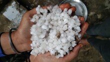 कोटा  में एक बार फिर से बारिश के साथ गिरे ओले, फसलों को भारी नुकसान