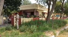 OMG! एईएन के सरकारी घर में अफीम की खेती! पुलिस के छापे में मिले हजारों पौधे, क्या हो रहा एक्शन?