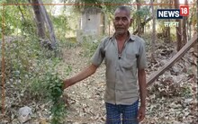 Satna News: इस किसान को औषधीय पौधों से लगाव...इनकी बगिया में आयुर्वेद का 'खजाना'