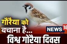 World Sparrow Day: तस्वीरों तक सिमट कर ना रह जाए गौरैया! ताज महल के साए से दिया गया ये बड़ा संदेश