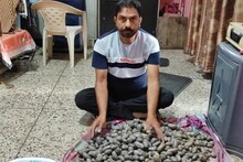 Black Potato: बिहार में ब्लैक पोटैटो की खेती का नया प्रयोग, गया के किसान की चमकी किस्मत