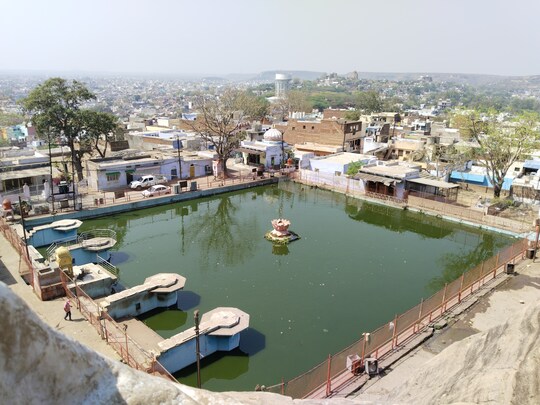 साल