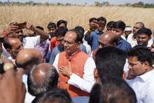Sagar News : सीएम ने बेमौसम बारिश से प्रभावित किसानों के लिए राहत की घोषणा , खोला वादों का पिटारा