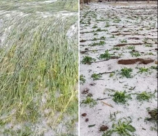 ओलावृष्टी