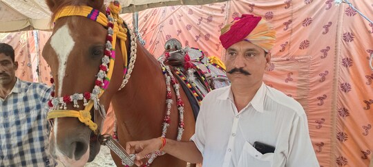 घोड़े