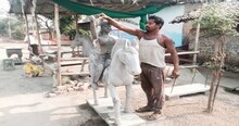 Janjgir Champa News: भगवान की मूर्ति बनाने वाले पूछते हैं 'आखिर कब बदलेंगे भगवान हमारी किस्मत'