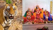 देवी मां के इस मंदिर में दर्शन करने आते थे बाघ, गुफा में मौजूद अजगर ने की रक्षा