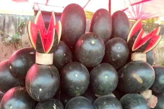 अलवर