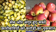 Fruit Prices: नवरात्रि व रमजान में फल मंडी में करोड़ों डूबे! यहां आधे हो गए अंगूर और सेब के दाम