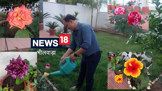 किचन