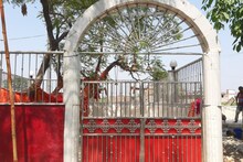 OMG News: बुढ़िया माई के मंदिर को हटाने के लिए रेलवे ने काटा पेड़ तो निकलने लगा निकला खून