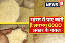 भारत में उपलब्ध हैं चावल की 6 हजार किस्में, जानें बिहार में किस चावल की है सबसे अधिक मांग