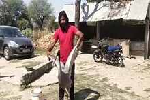 सारस से दोस्ती कर बुरे फंसे अमेठी के आरिफ ! वन विभाग ने भेजा नोटिस, पूछताछ के लिये बुलाया