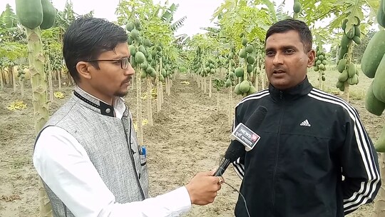 अपने