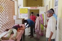 Damoh News: गांव में खूंखार लकड़बग्घे ने किया हमला, महिला समेत दो लोग जख्मी, भर्ती