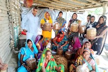 Good News : मशरूम उत्पादन से जीविका दीदी बनेंगी आत्मनिर्भर, समस्तीपुर में है यह तैयारी
