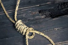 Ambikapur: पेड़ के नीचे खेल रही थी 5 साल की बेटी... पिता ने उसी पेड़ से लगा ली फांसी