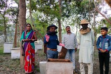 मधुबनी के संजीव कभी रिक्शा चलाकर भरते थे पेट, अब 5 फलेवर का तैयार कर रहे शहद