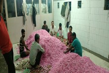 Kannauj News: कन्नौज के गुलाब जल की विदेश में भी डिमांड, शुद्धता और गुणवत्ता के चलते लोगों को पसंद
