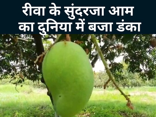 रीवा