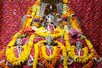 भगवान राम के अस्थाई मंदिर का आखिरी जन्मोत्सव होगा बेहद खास,पढ़िए स्पेशल स्टोरी