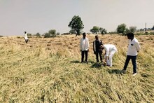 Agriculture News : किसान ध्यान दें! 31 मार्च तक होगा लोन माफ, ऐसे उठाएं इस योजना का लाभ