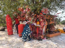 गोड्डा में महिलाएं शीतला मंदिर में चढ़ाती हैं मड़री औप झाप, जानें मान्यता