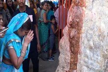 MP News: दमोह में फिर दिखा चमत्कार, पहले अंजनी माता की आंखों से आंसू अब वृक्ष से निकल रही जलधारा