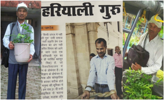 हरियाली