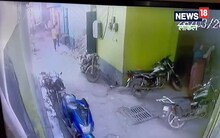 Aligarh News: हैवान युवकों ने प्रेगनेंट फीमेल डॉग को पीट-पीटकर उतारा मौत के घाट, घटना CCTV कैमरे में कैद