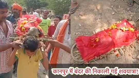 बंदर