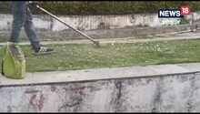 Korba News : सीएसईबी के पावर प्लांट में बड़ा हादसा, घास काटते वक्त मजदूर का कटा गला, हालत गंभीर ,जानिए पूरी खबर