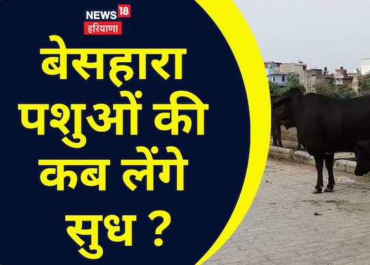 अंबाला