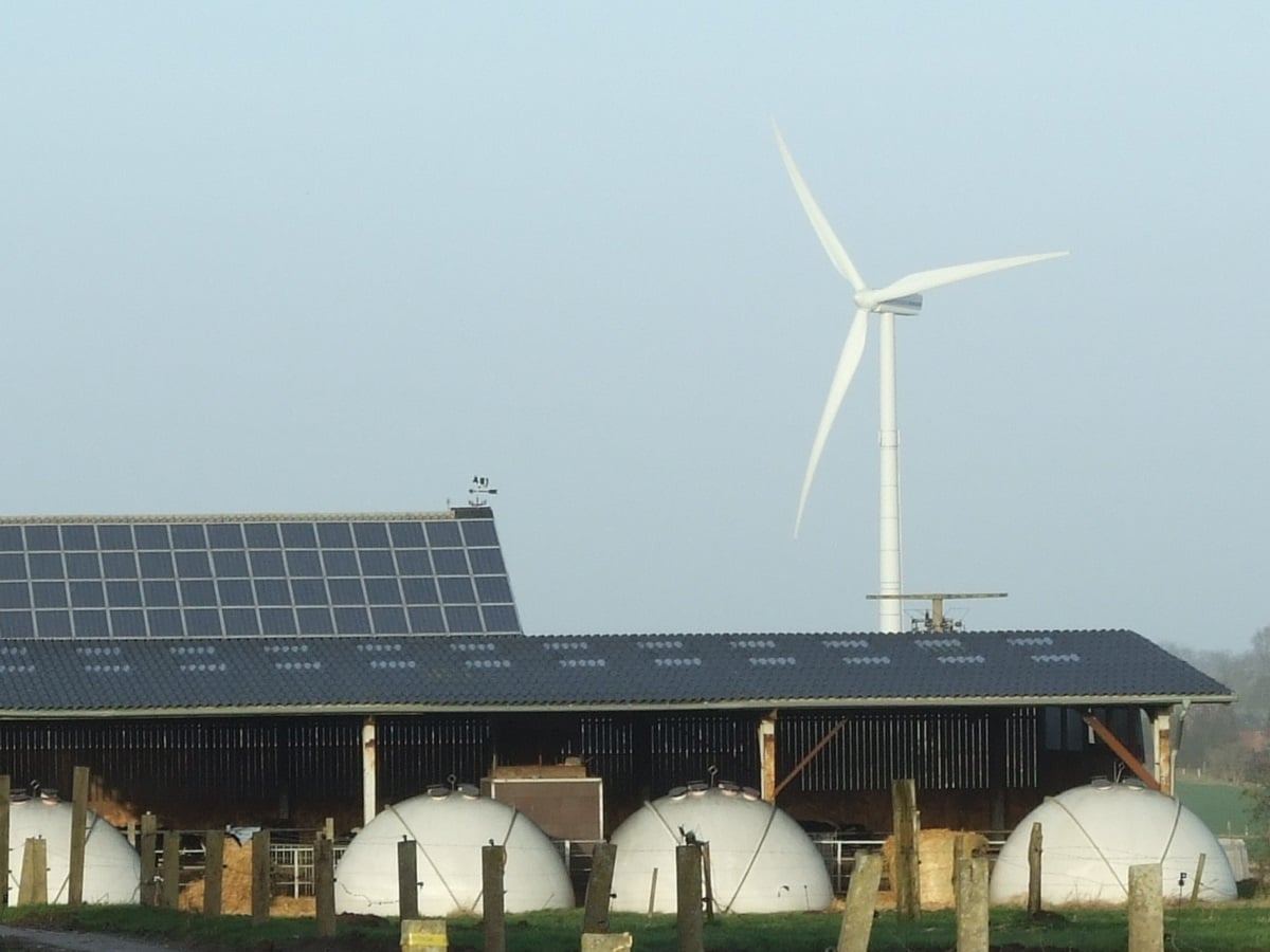 India, Environment, Energy, Fossil Fuel, Research, Carbon Emission, Green Energy, Electricity, Paris Agreement, Renewable Energy,