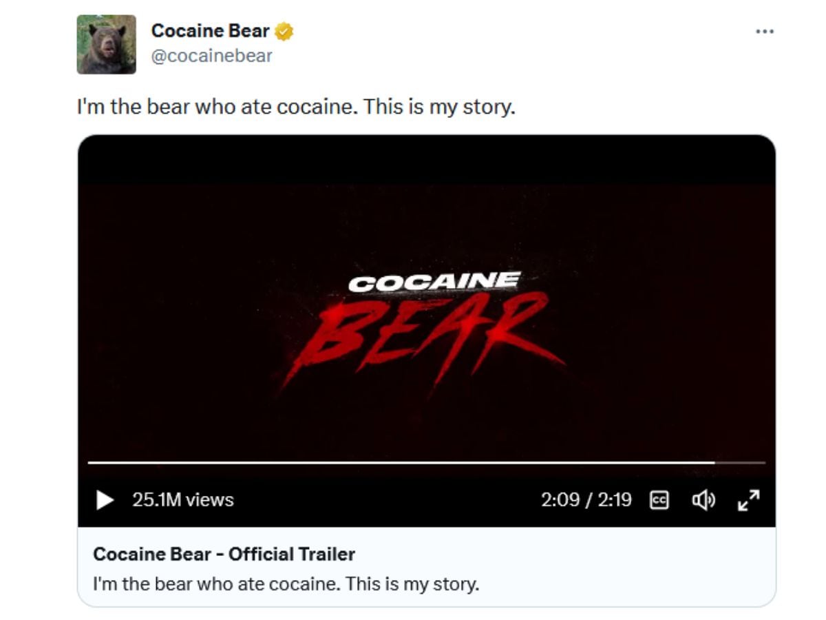 Cocaine Bear real story