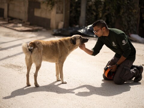ह्यूमेन सोसाइटी इंटरनेशनल टीम ने तुर्की भूकंप में 1,500 जानवरों को बचाया.(Image: Jodi Hilton/HSUS)