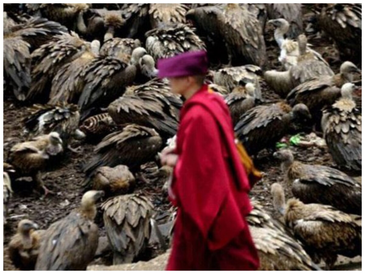 Buddhist Monk Cremation, Lord Buddha, Last Rites, Cremation Process, Jain Muni Cremation, Hindu Cremation Process, Muslim Funeral Process, Sikh Cremation Process, Third Gender Cremation Process, Christian Funeral Process, Buddhist cut dead body into pieces