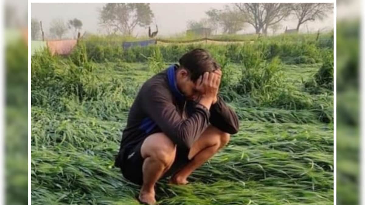 Explainer: फसलें खराब होने पर किसानों को कैसे मिलता है मुआवजा, क्‍या कटी फसल पर भी मिलेगी राहत?