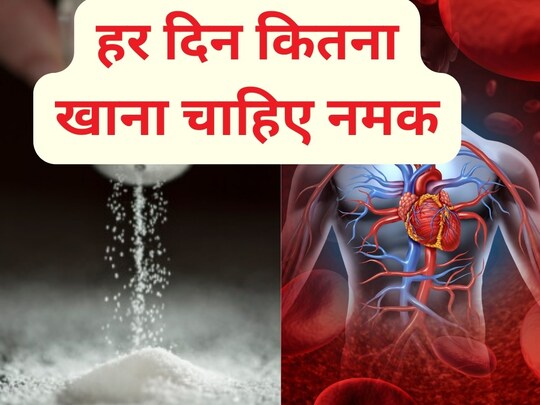WHO के मुताबिक रोजाना 3 ग्राम से ज्यादा सोडियम नहीं खाना चाहिए. Image: Canva
