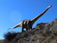 वैज्ञानिकों को मिला अनोखे डायनासोर का जीवाश्म, इसकी गर्दन है सबसे लंबी