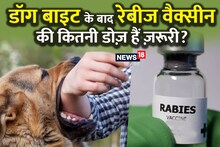 How many injections of anti-rabies are necessary for dog bite?  Will you fall ill if you miss even one dose?  Learn from RML's Dr.