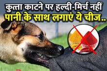 Dog Bites: If a dog bites, do not use turmeric and chillies, apply this thing with water, rabies will be cured, said the doctor of RML Hospital
