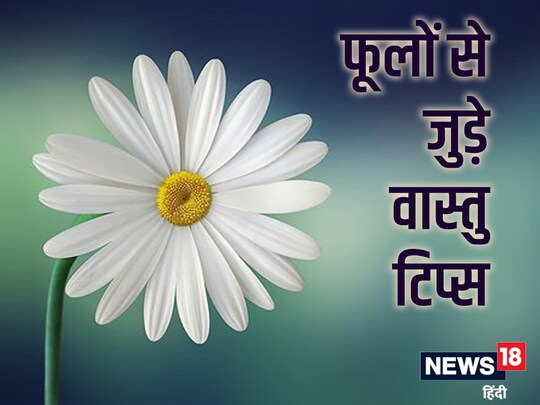 घर में पारिजात का पौधा लगाया जाए तो यह घर के लिए बहुत ही शुभ होता है. 