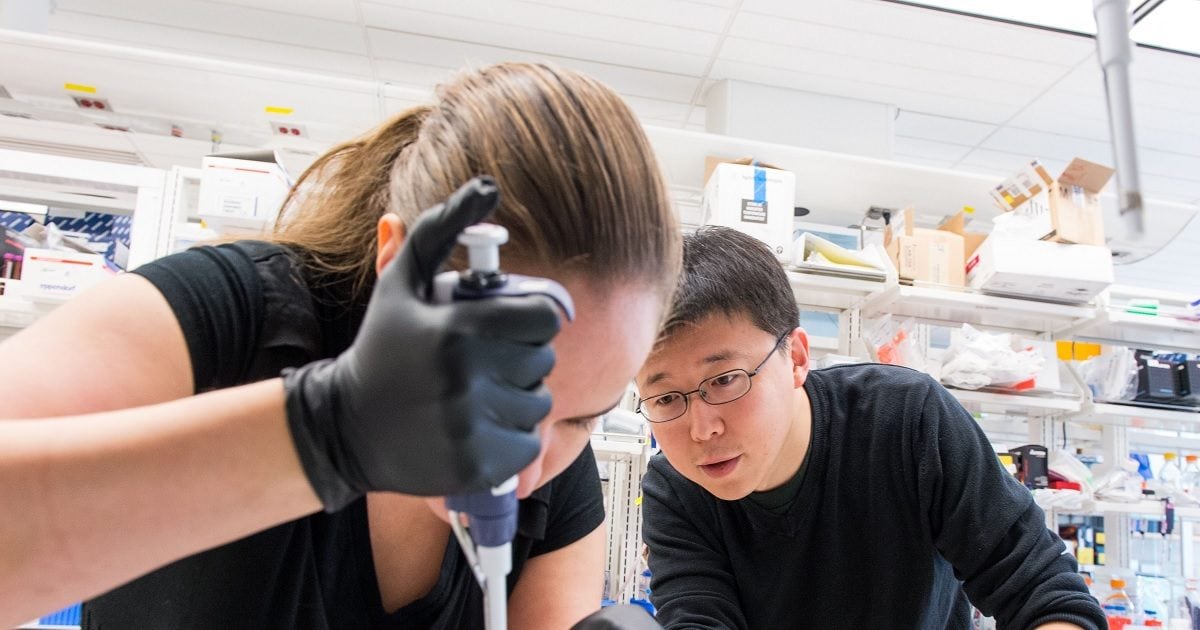Artificial intelligence raises great hopes in treatment, will help in ending cancer
