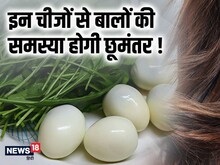 कमजोर बालों में जान फूंक देंगे 5 फूड्स, हेयरफॉल की समस्या हो जाएगी दूर