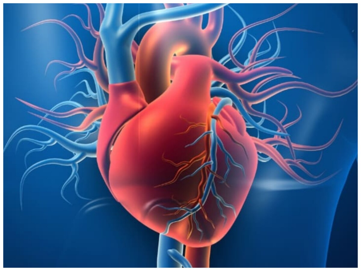 Satish Kaushik Death, Satish Kaushik Heart Attack, Heart Attack, Heart Attack Treatment, Heart Attack Symptoms, Biodegradable Gel, Biodegradable Gel Heart Attack, heart repair gel, हार्टअटैक, दिल का दौरा, हार्टअटैक के लक्षण, बायो जेल, दिल के दौरे में कैसे काम करता है बायो जेल, बायो जेल क्या है, बायो जेल कैसे काम करता है, हार्ट अटैक का उपचार
