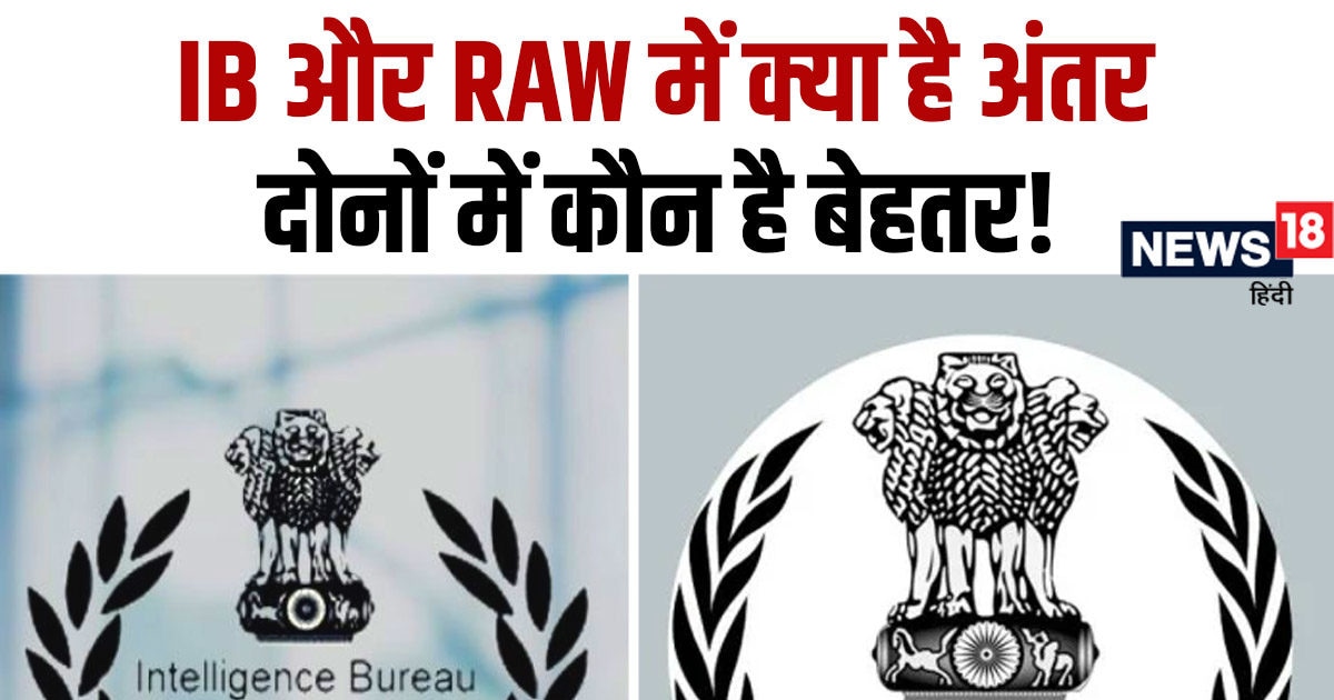 IB Vs Raw What Is The Difference Between IB And RAW Which Is Best IB Or ib-vs-raw-what-is-the-difference-between-ib-and-raw-which-is-best-ib-or