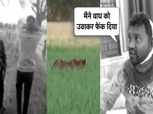 मैंने बाघ को उठाकर फेंक दिया, ये कहते-कहते युवक ने तोड़ दिया दम, देखें Video