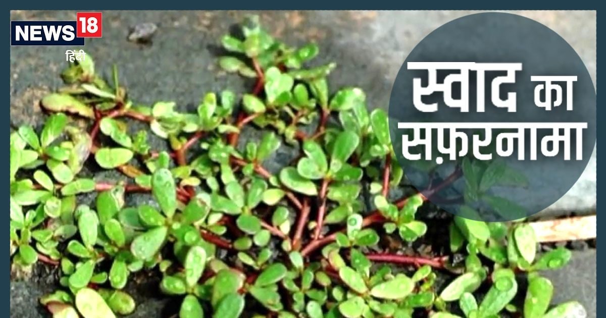 Kulfa saag helpful to reduce weight lower bad cholesterol Purslane